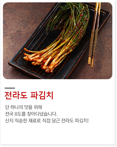 전라도 파김치